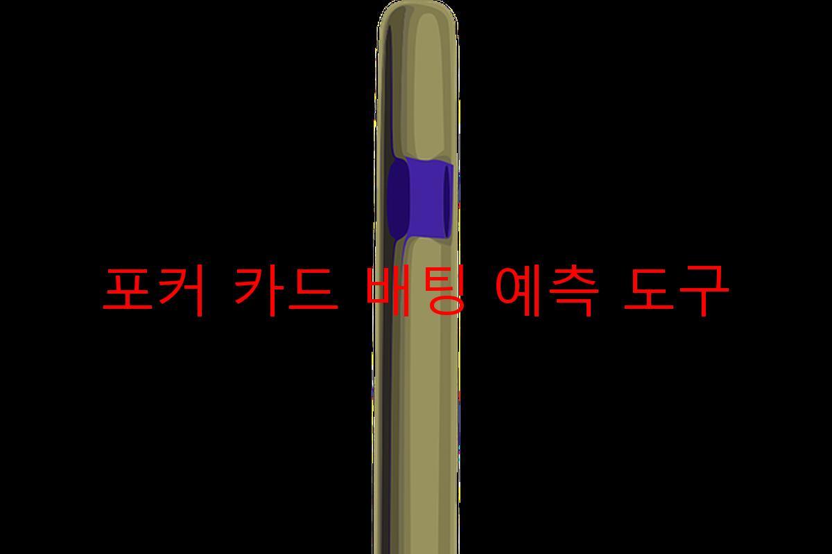 포커 카드 배팅 예측 도구
