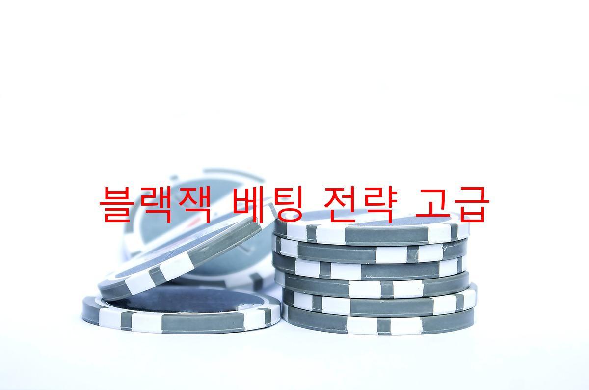 블랙잭 베팅 전략 고급