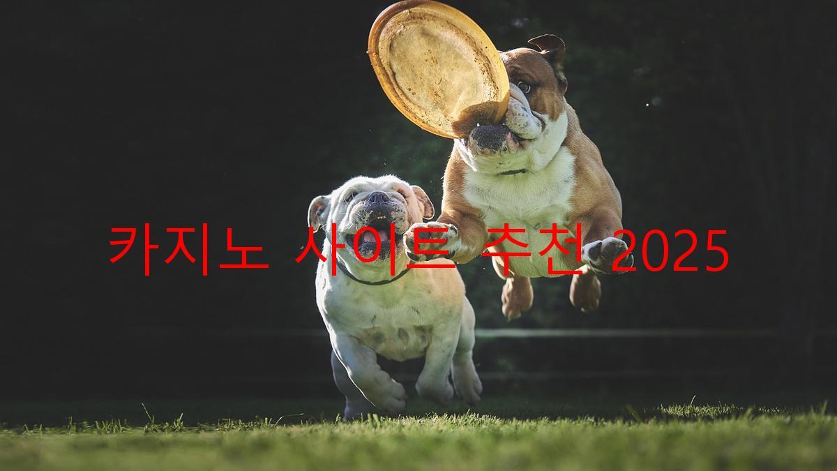카지노 사이트 추천 2025