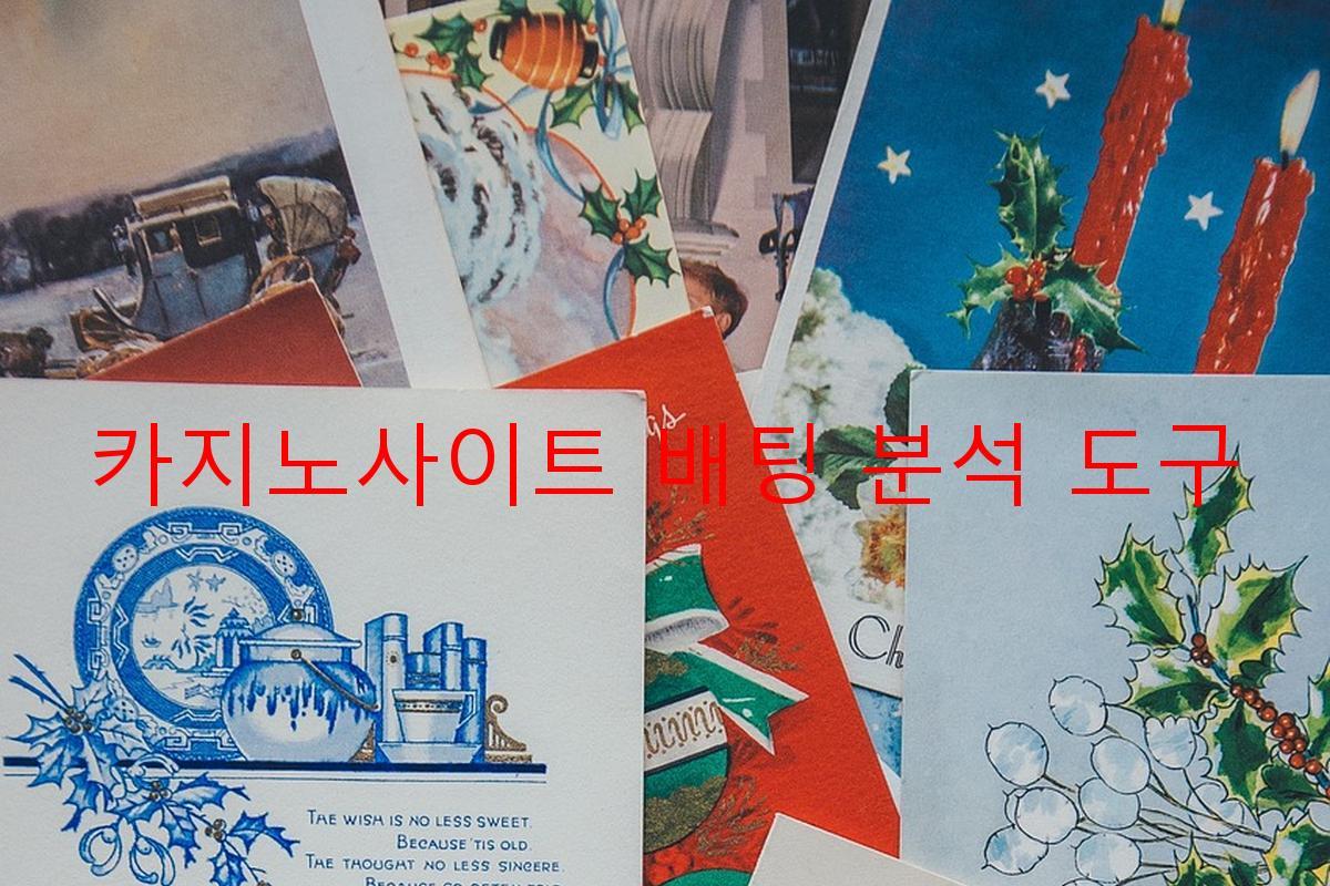 카지노사이트 배팅 분석 도구