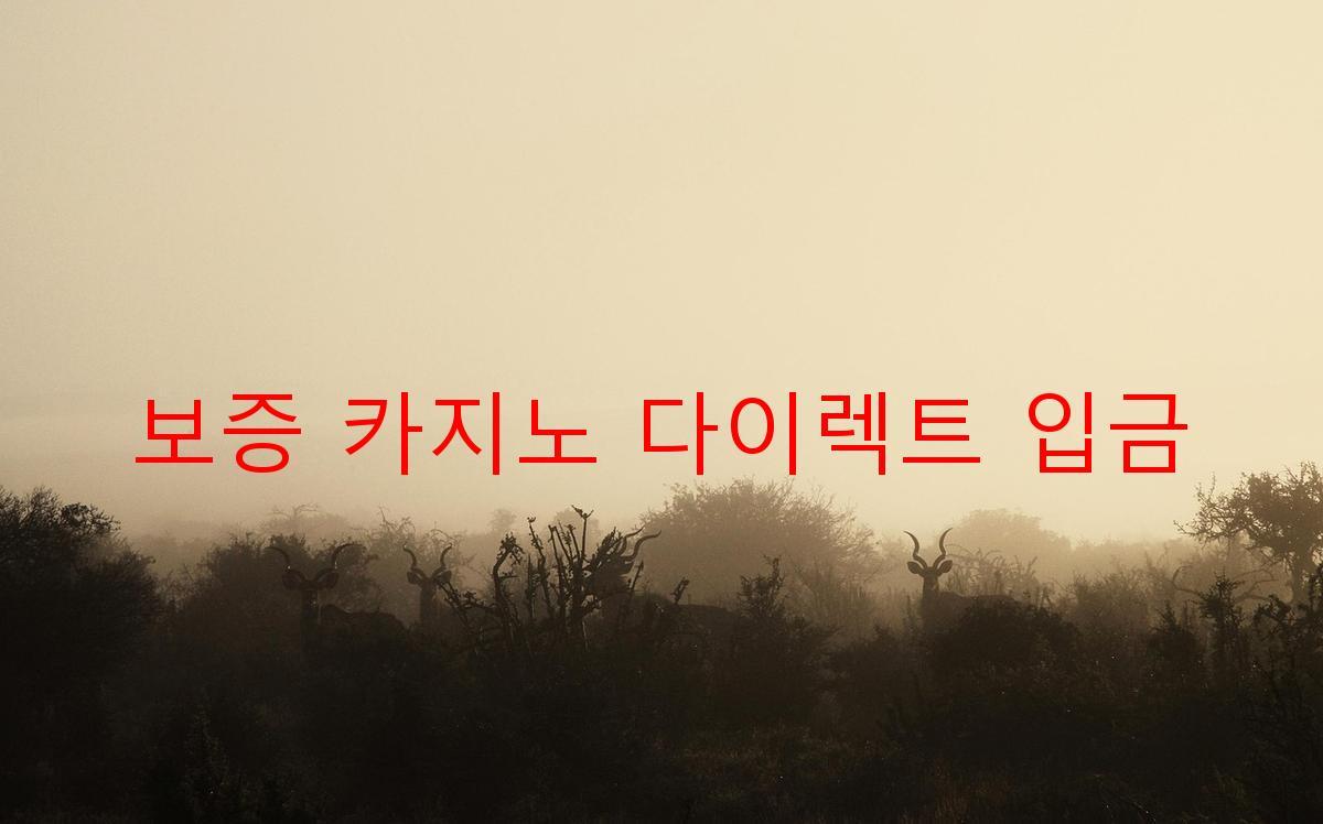 보증 카지노 다이렉트 입금