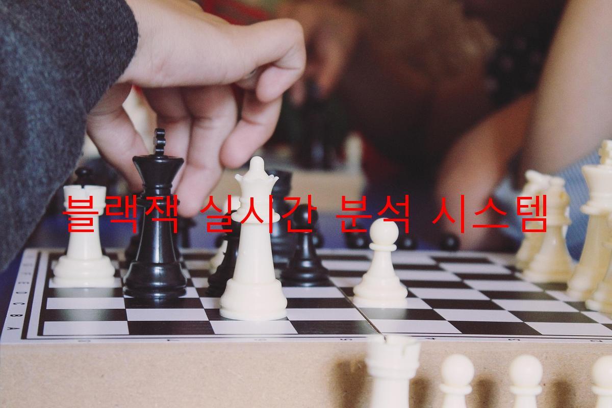 블랙잭 실시간 분석 시스템