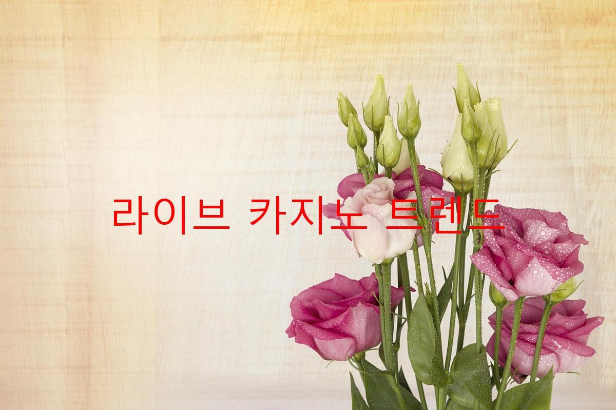 라이브 카지노 트렌드