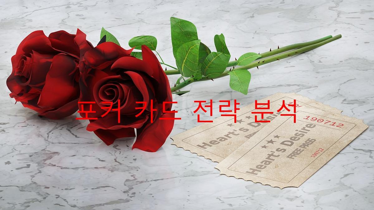 포커 카드 전략 분석