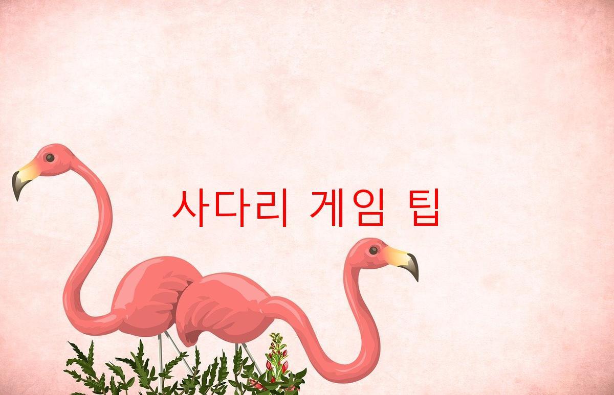 사다리 게임 팁