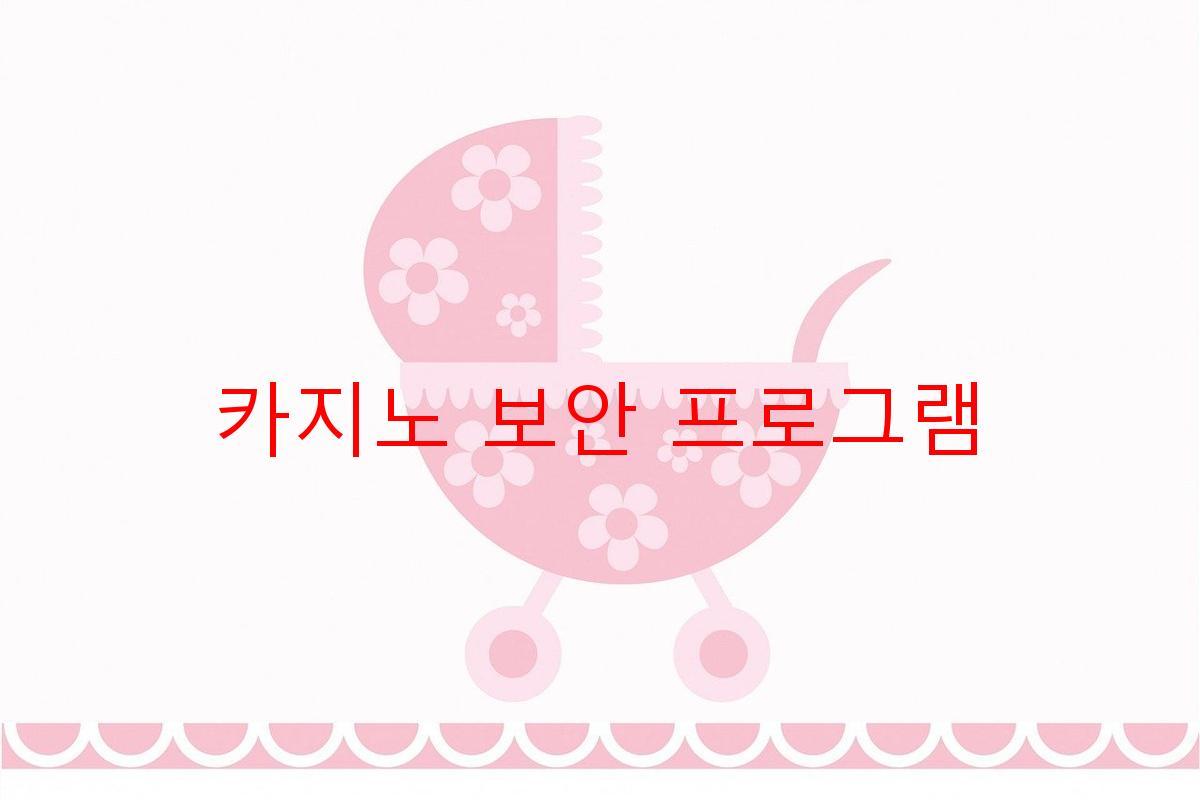 카지노 보안 프로그램