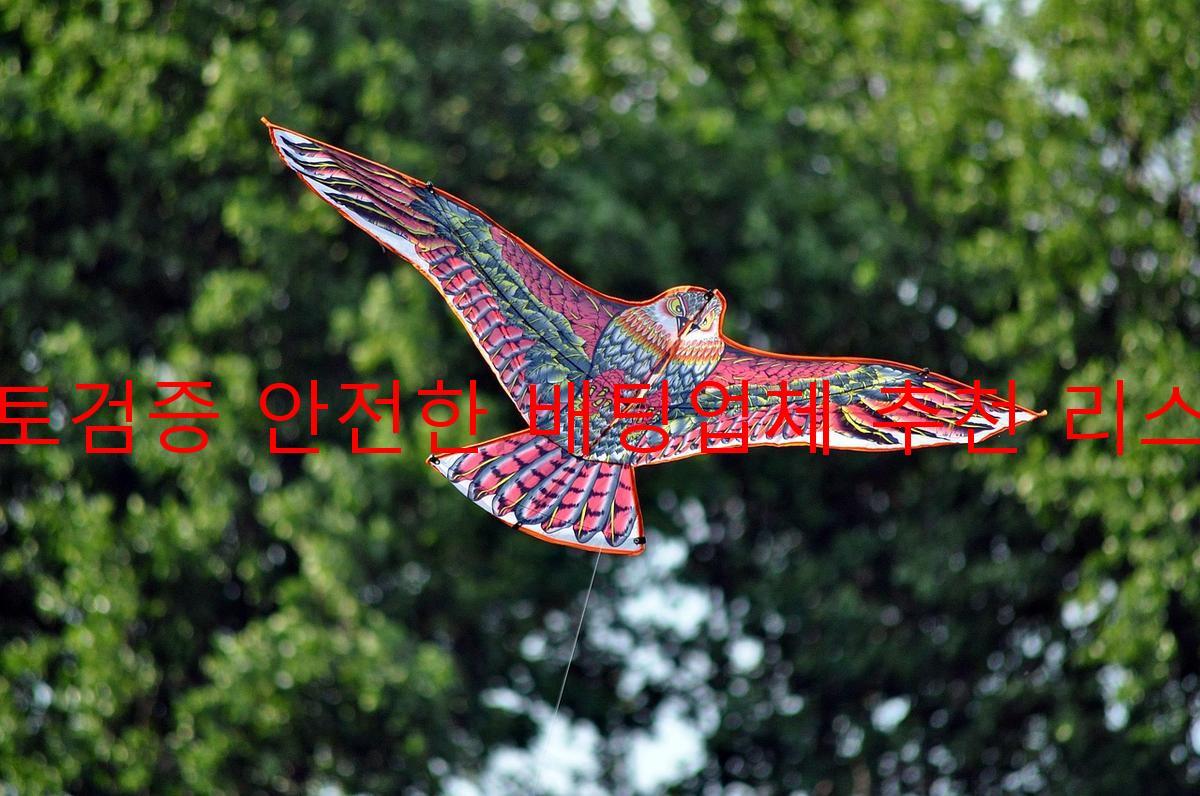 토토검증 안전한 배팅업체 추천 리스트