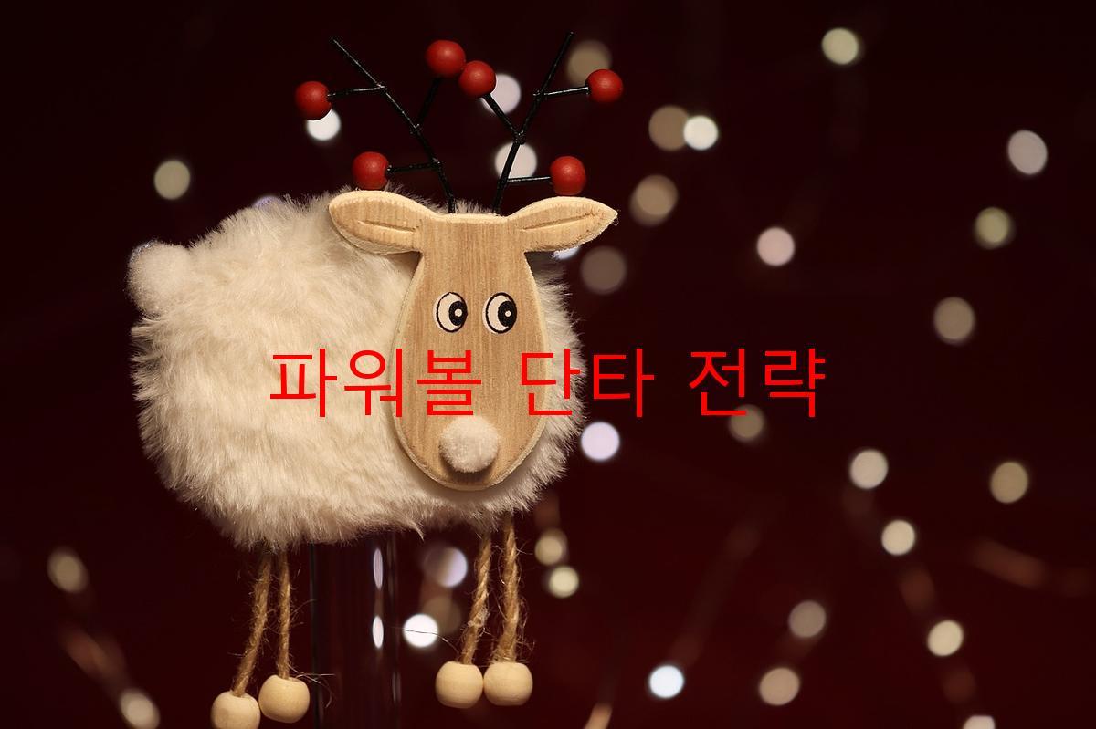 파워볼 단타 전략