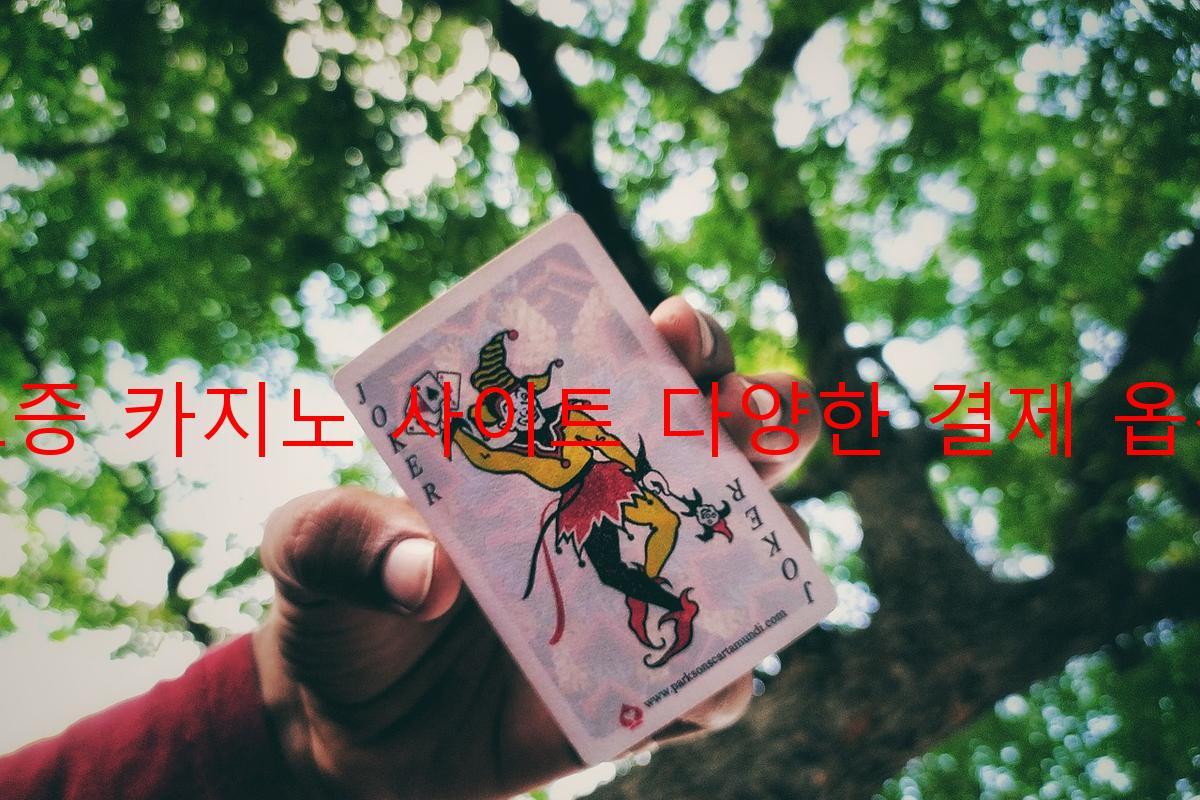 보증 카지노 사이트 다양한 결제 옵션