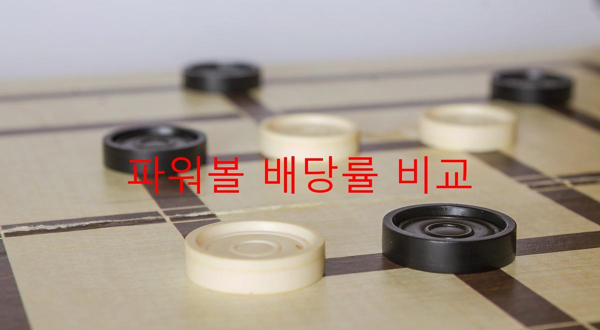 파워볼 배당률 비교