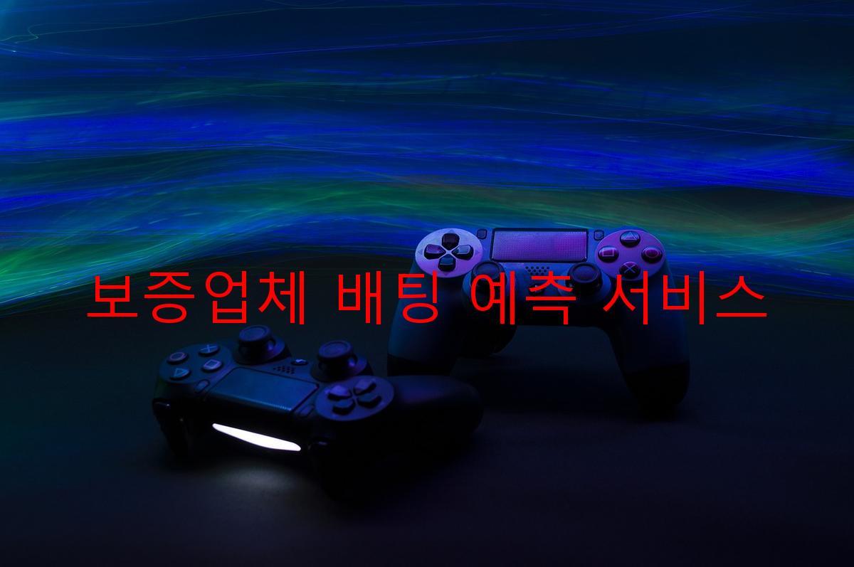 보증업체 배팅 예측 서비스