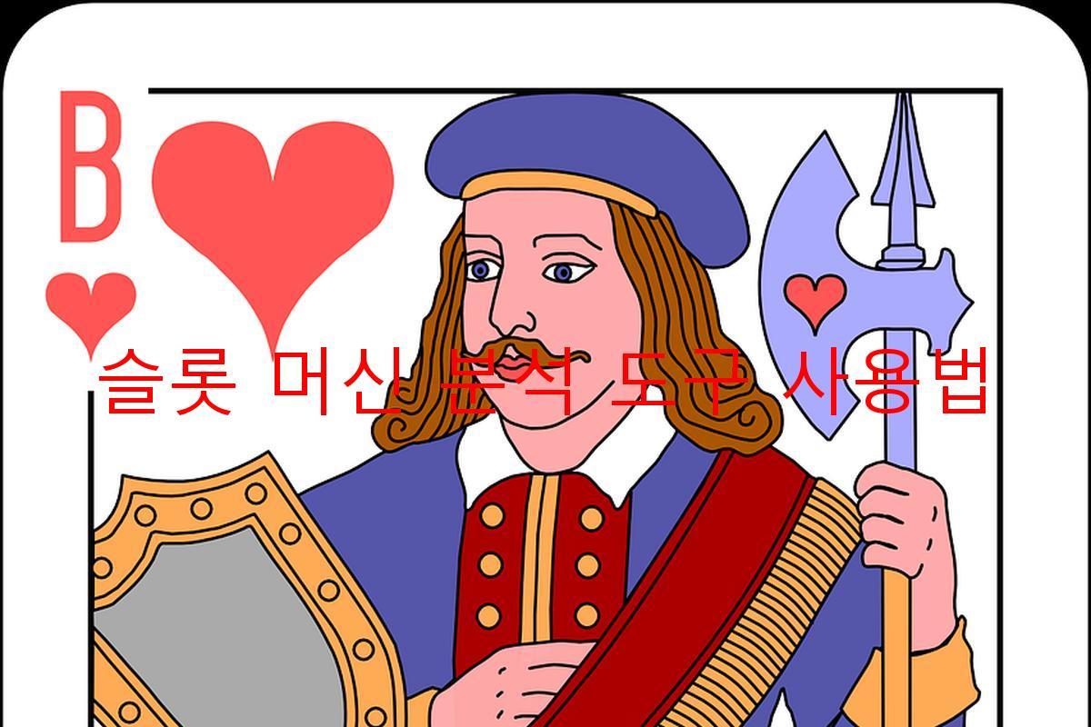 슬롯 머신 분석 도구 사용법