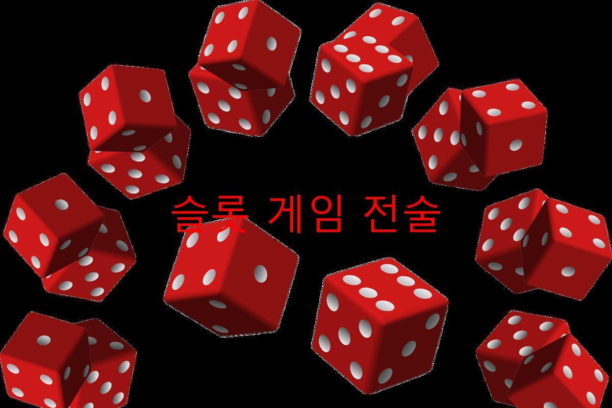 슬롯 게임 전술