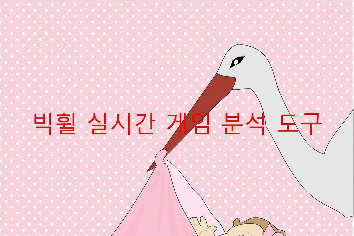 빅휠 실시간 게임 분석 도구