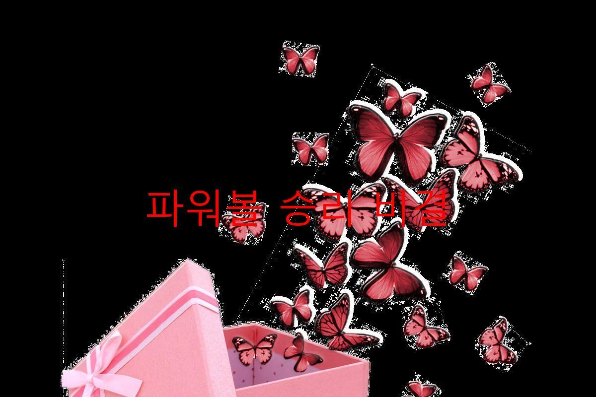 파워볼 승리 비결