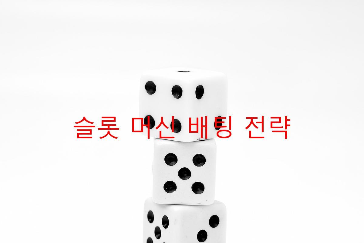 슬롯 머신 배팅 전략