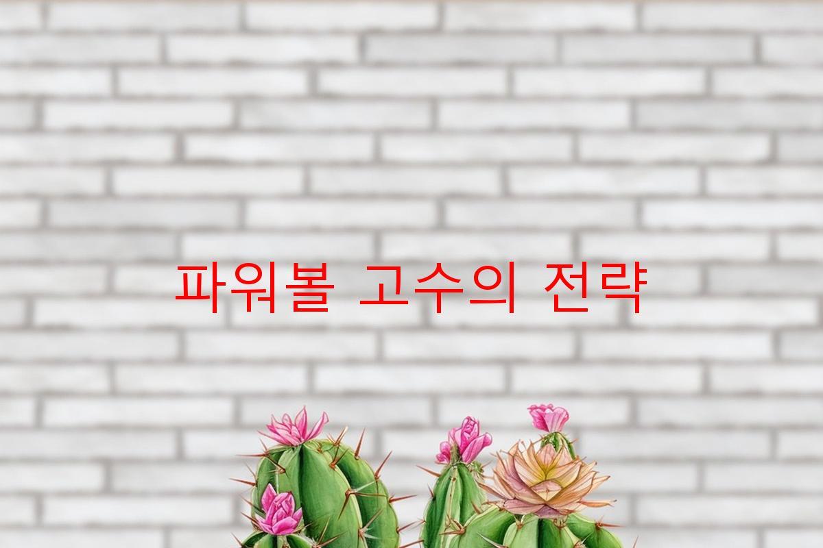 파워볼 고수의 전략