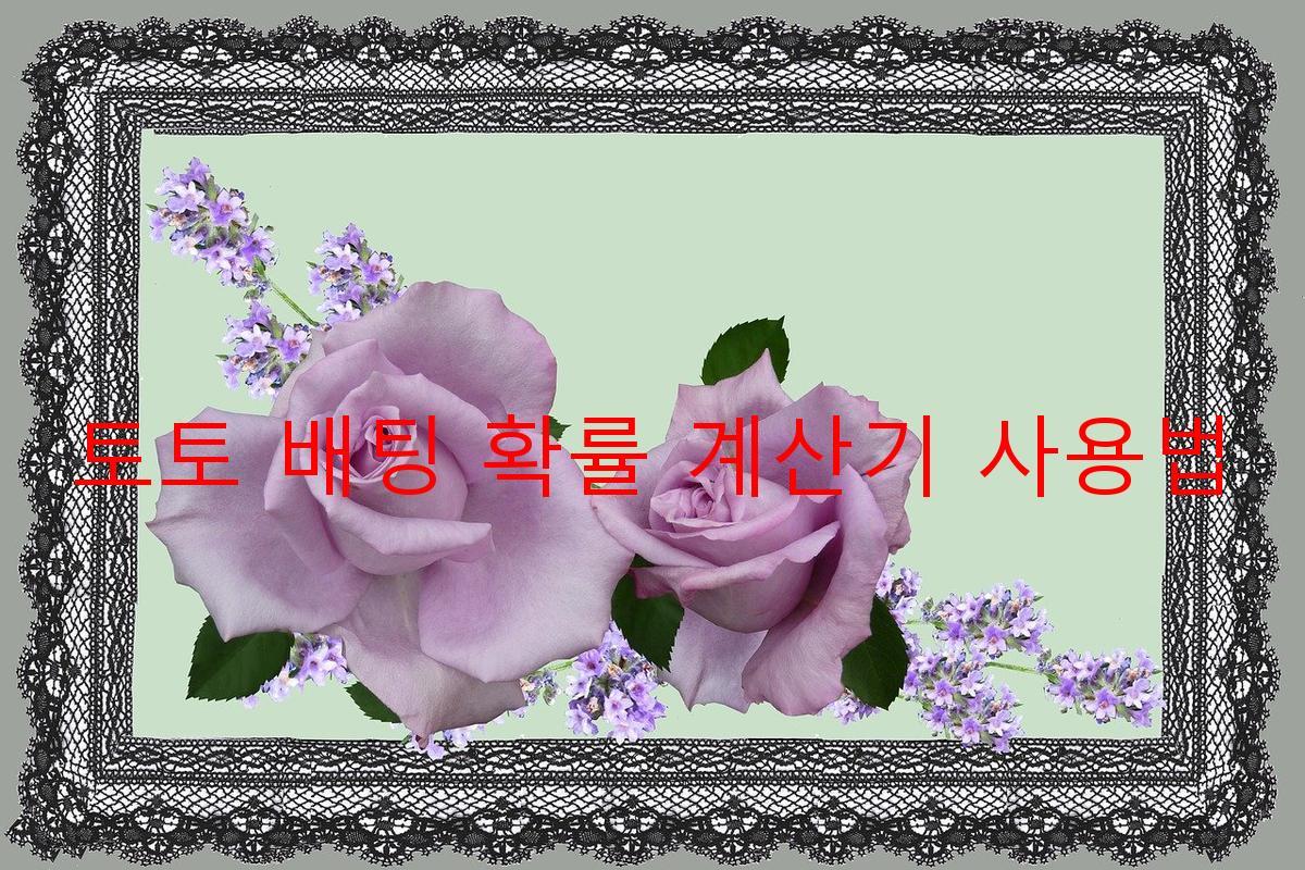 토토 배팅 확률 계산기 사용법