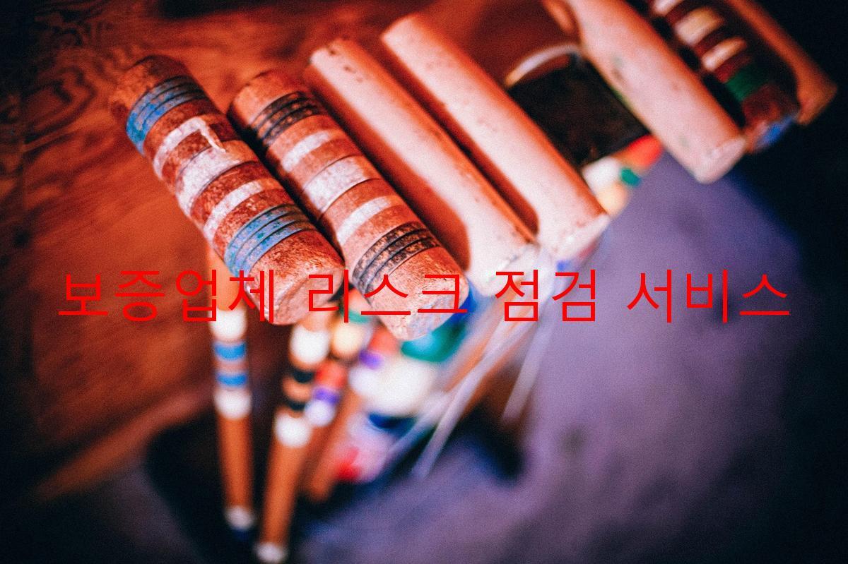 보증업체 리스크 점검 서비스