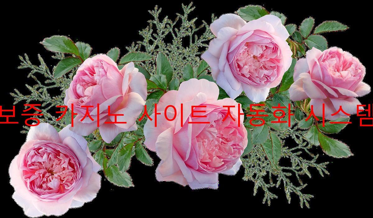 보증 카지노 사이트 자동화 시스템