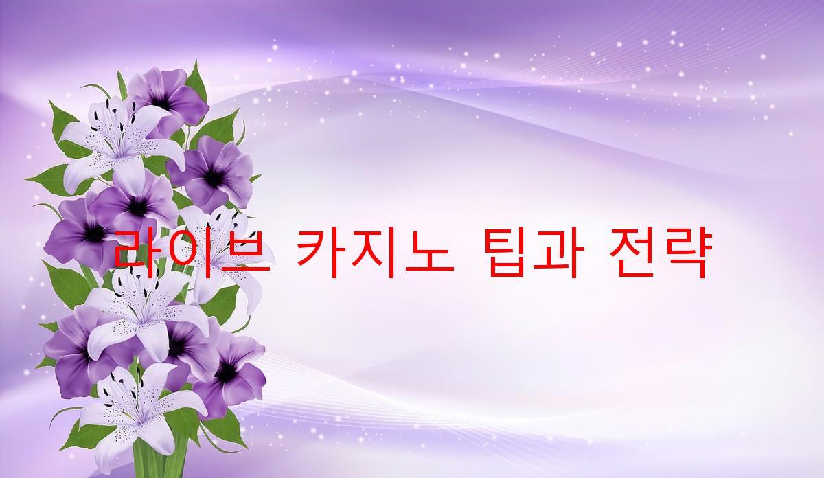 라이브 카지노 팁과 전략