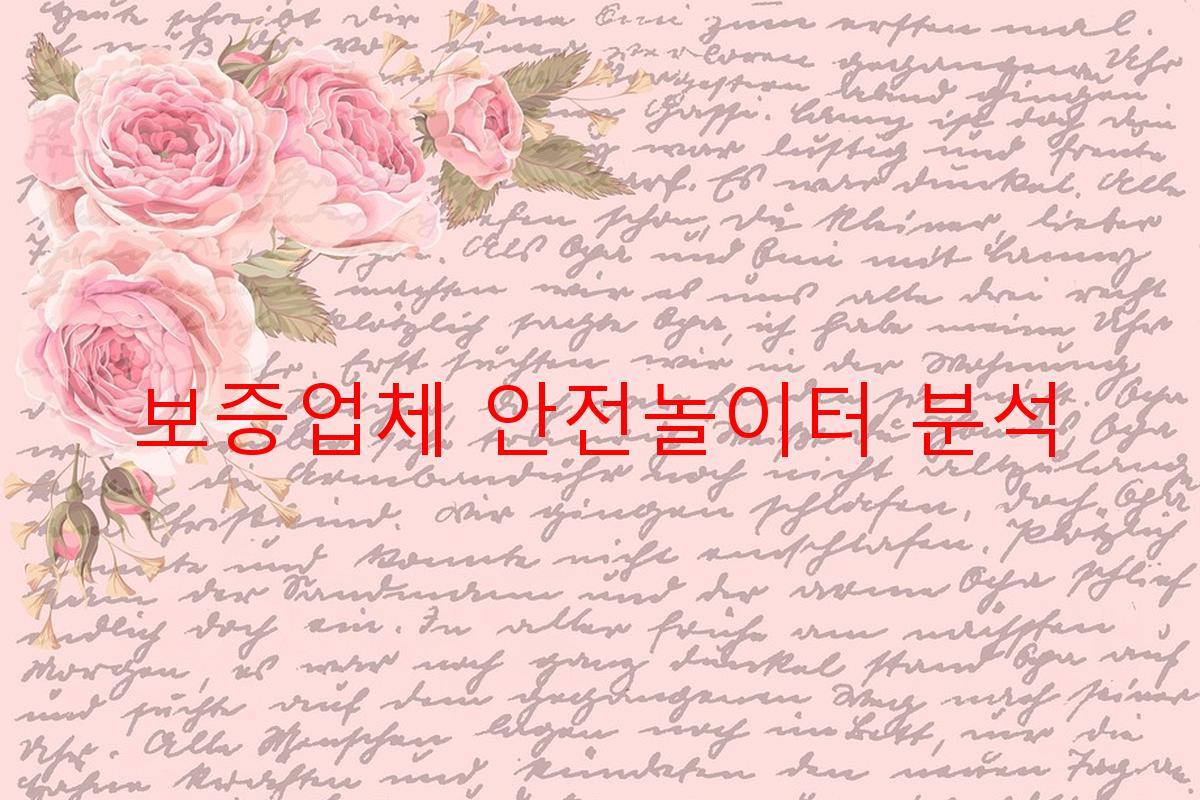 보증업체 안전놀이터 분석