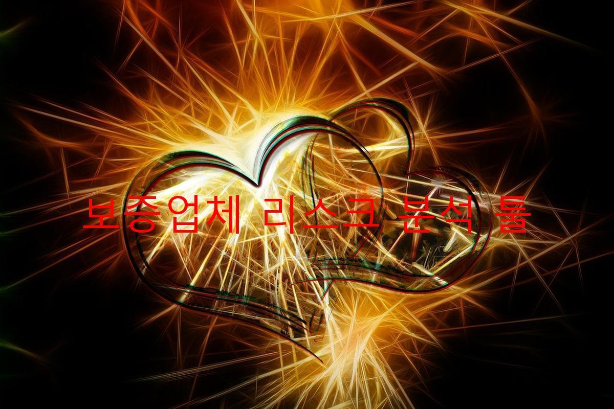 보증업체 리스크 분석 툴