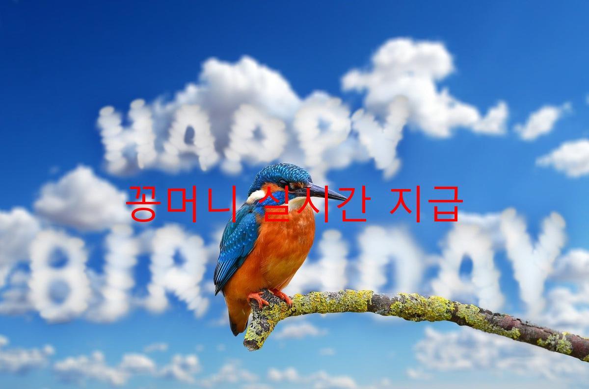 꽁머니 실시간 지급