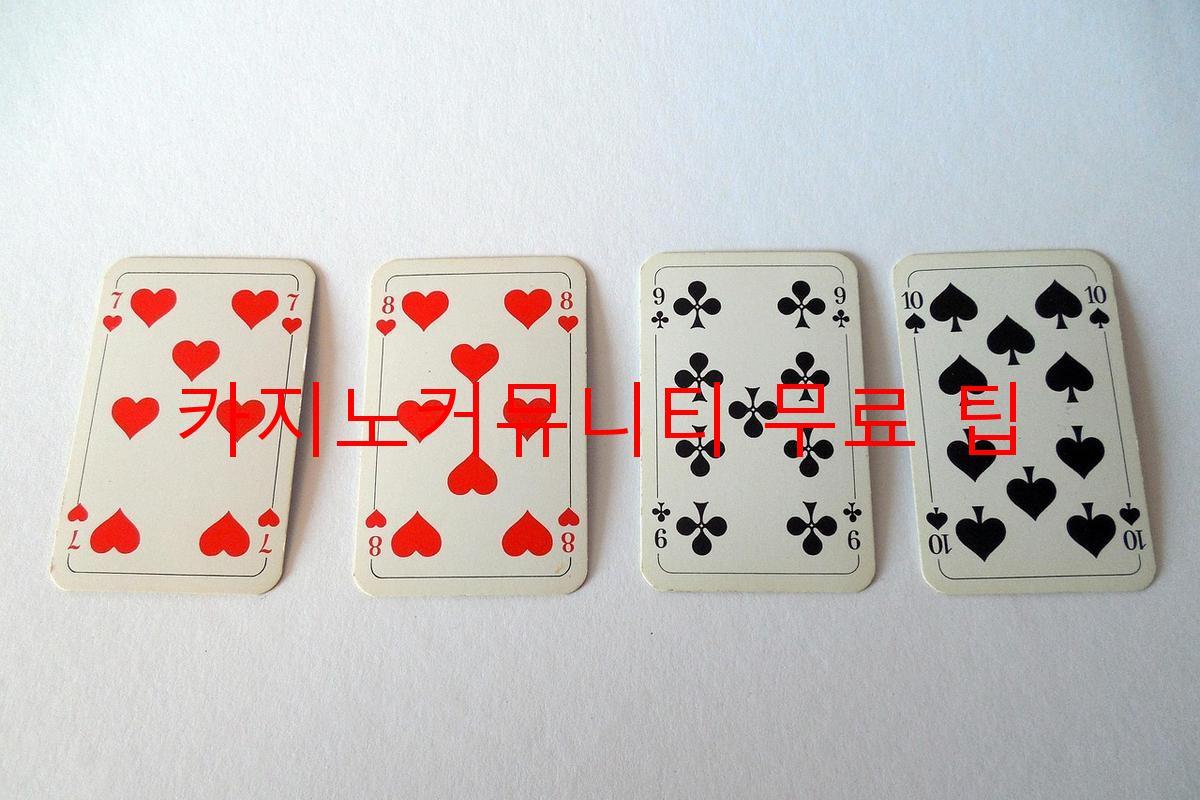 카지노커뮤니티 무료 팁