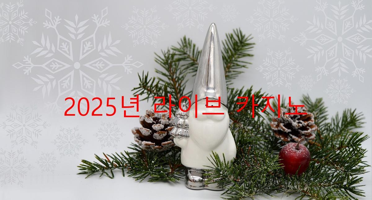 2025년 라이브 카지노