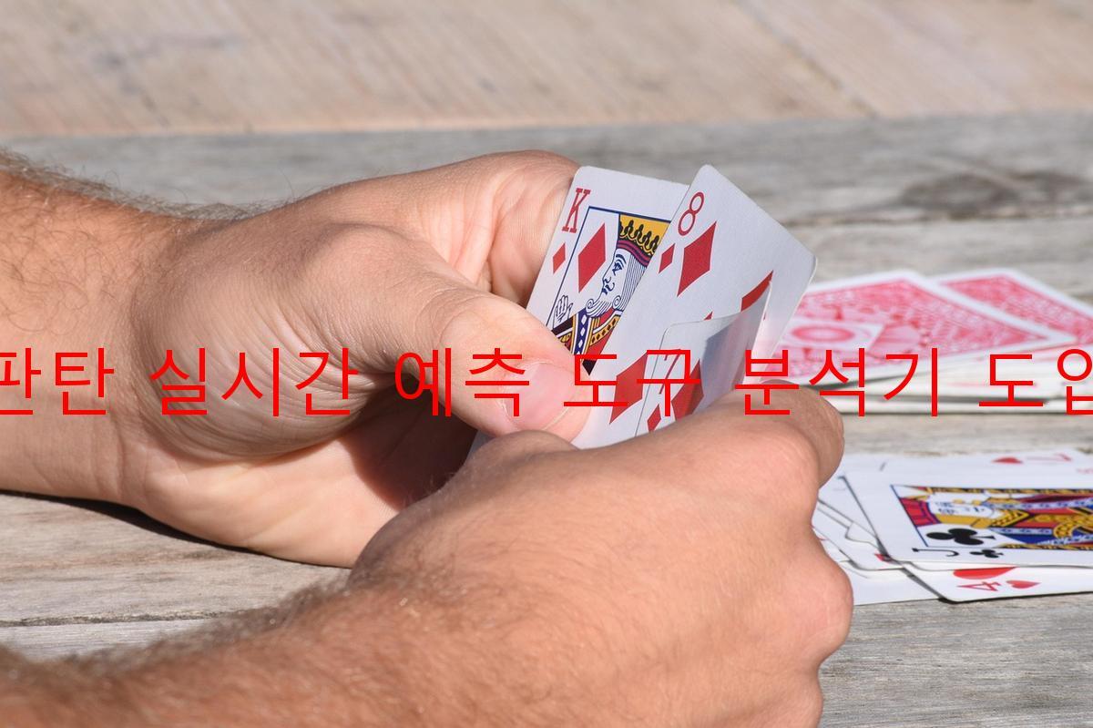 판탄 실시간 예측 도구 분석기 도입