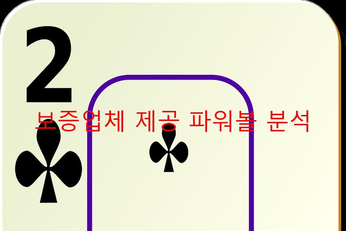 보증업체 제공 파워볼 분석