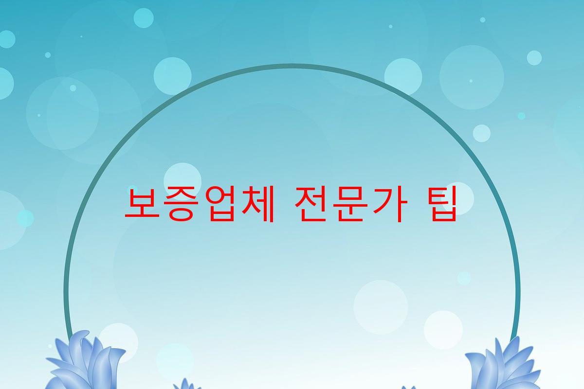 보증업체 전문가 팁