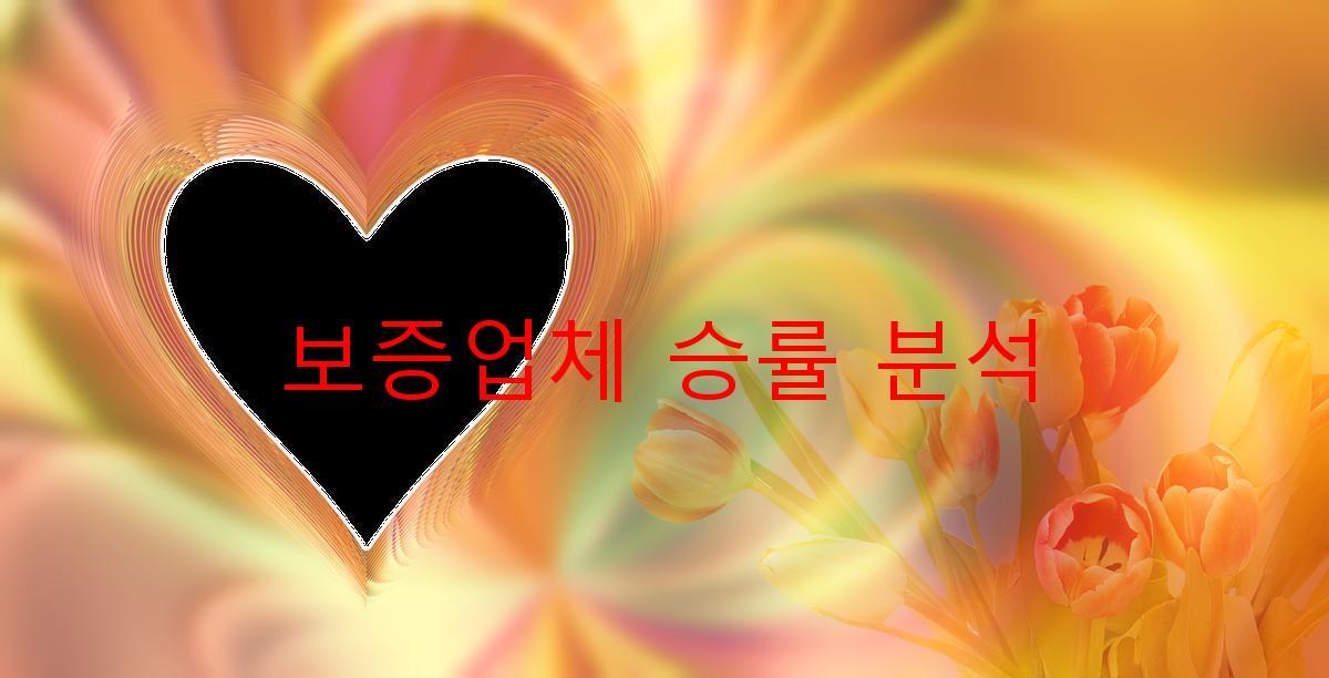 보증업체 승률 분석