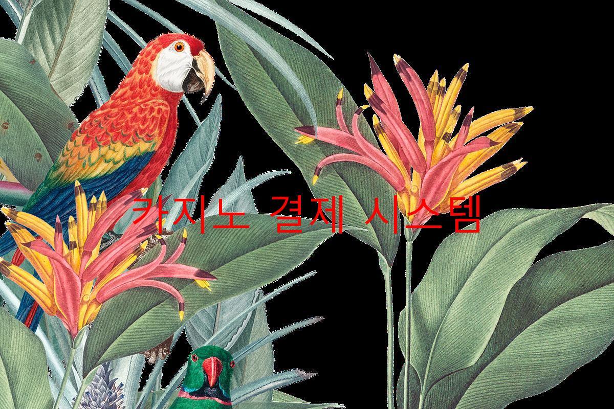 카지노 결제 시스템