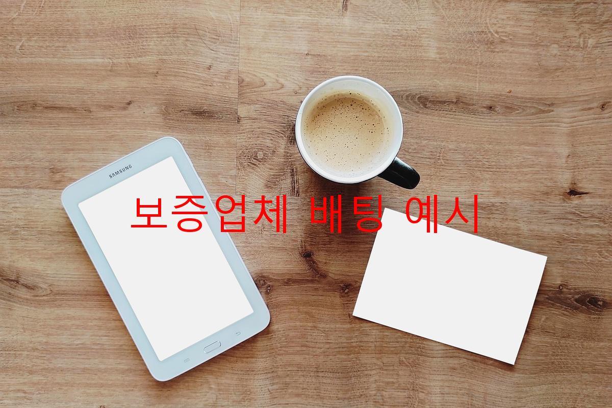 보증업체 배팅 예시