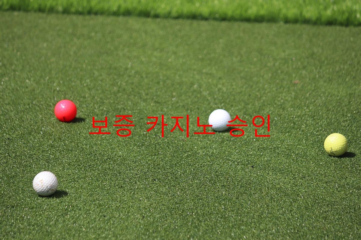 보증 카지노 승인