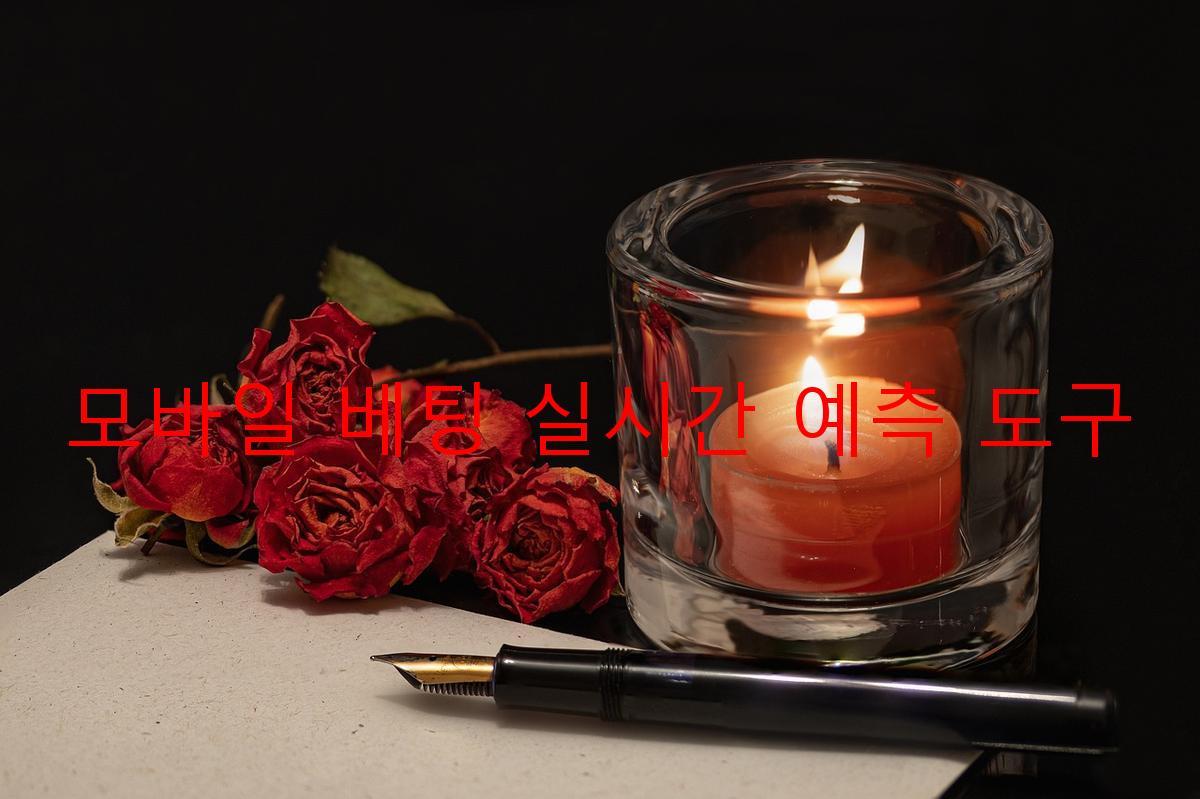 모바일 베팅 실시간 예측 도구