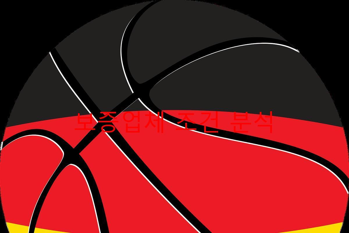 보증업체 조건 분석