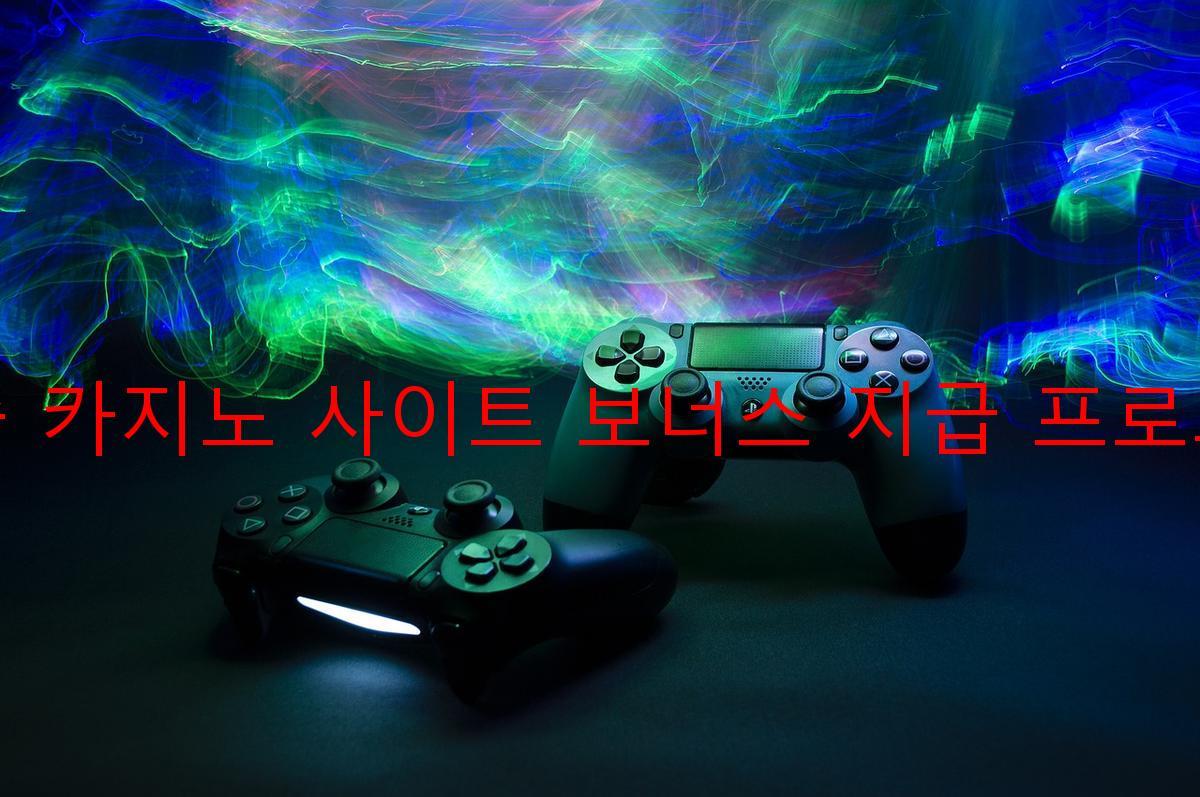 보증 카지노 사이트 보너스 지급 프로그램