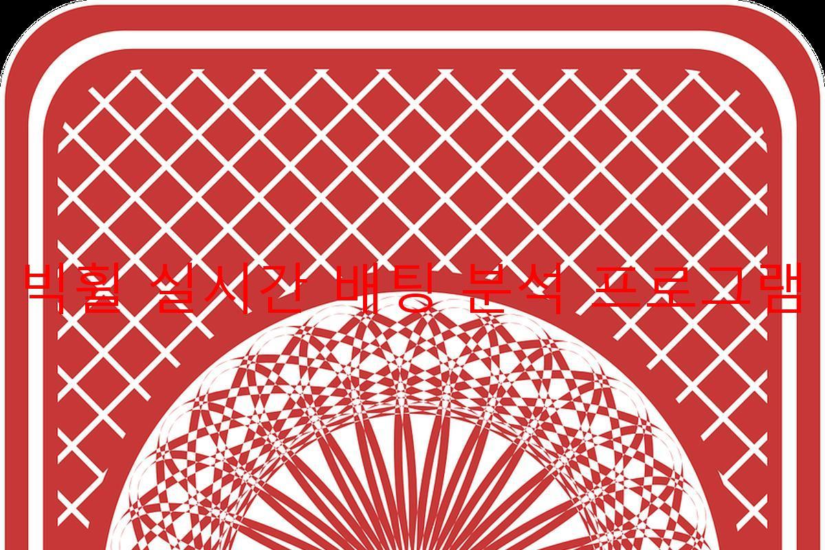 빅휠 실시간 배팅 분석 프로그램