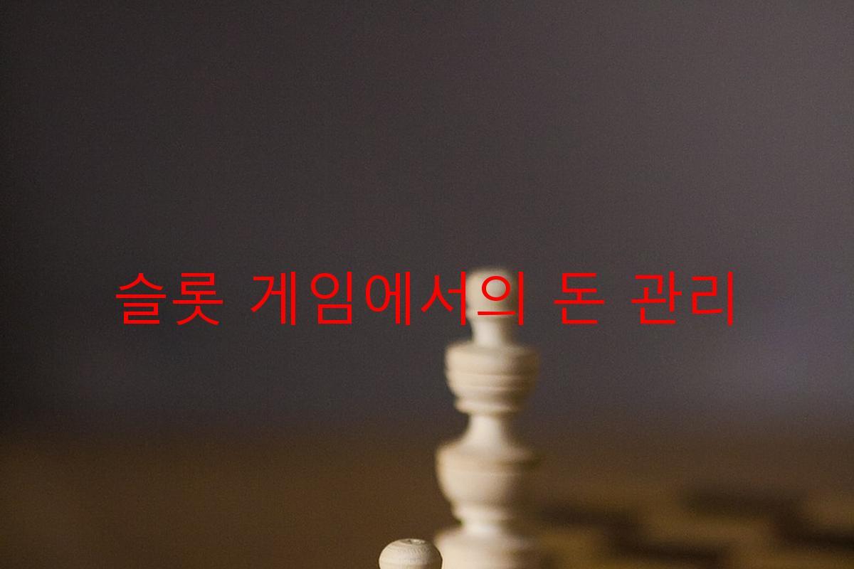 슬롯 게임에서의 돈 관리