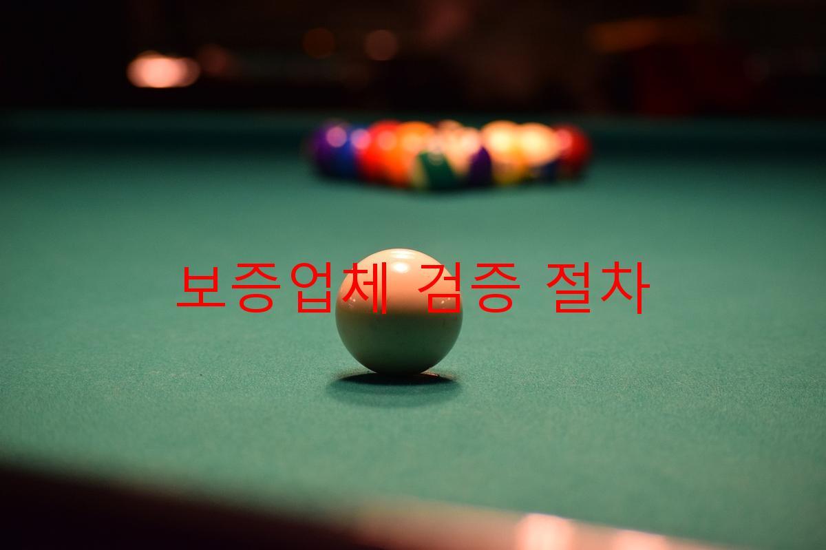 보증업체 검증 절차
