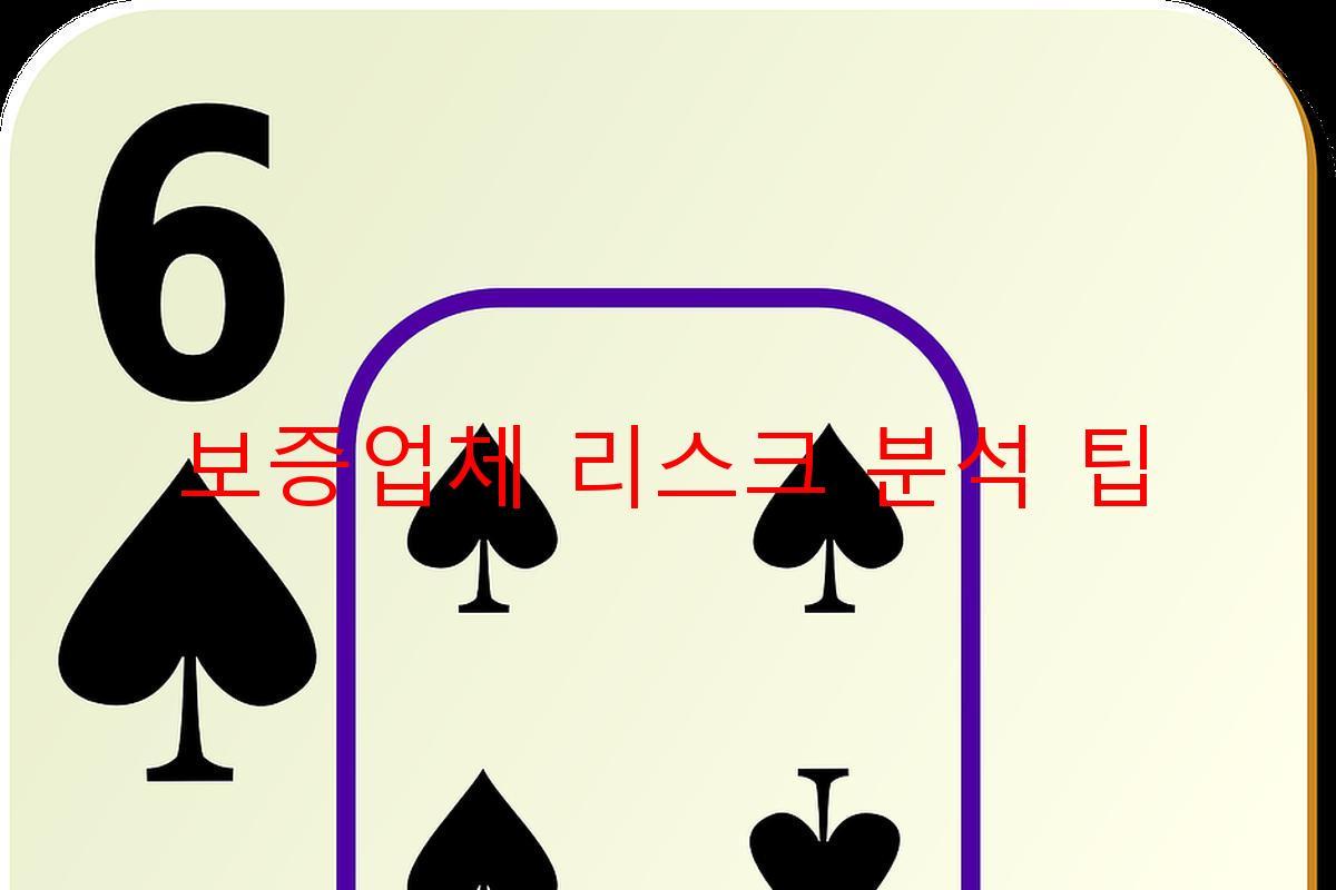 보증업체 리스크 분석 팁