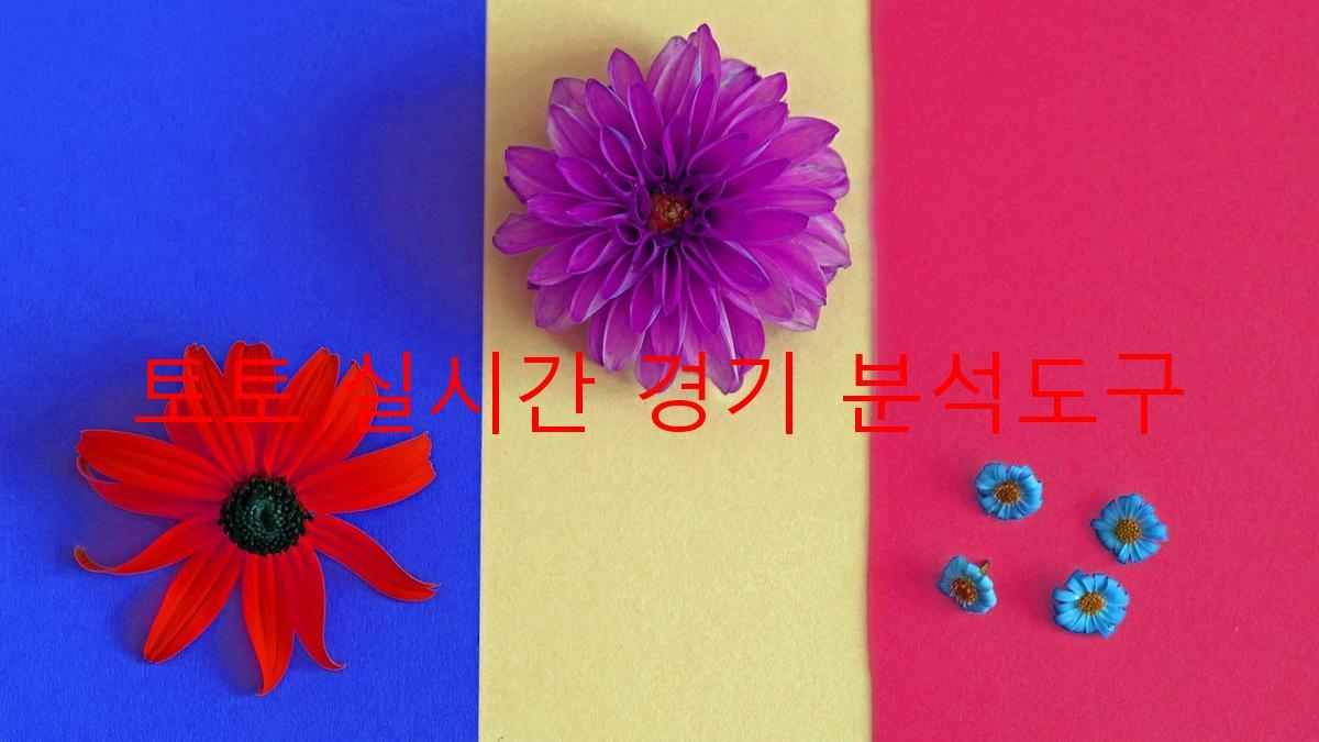 토토 실시간 경기 분석도구