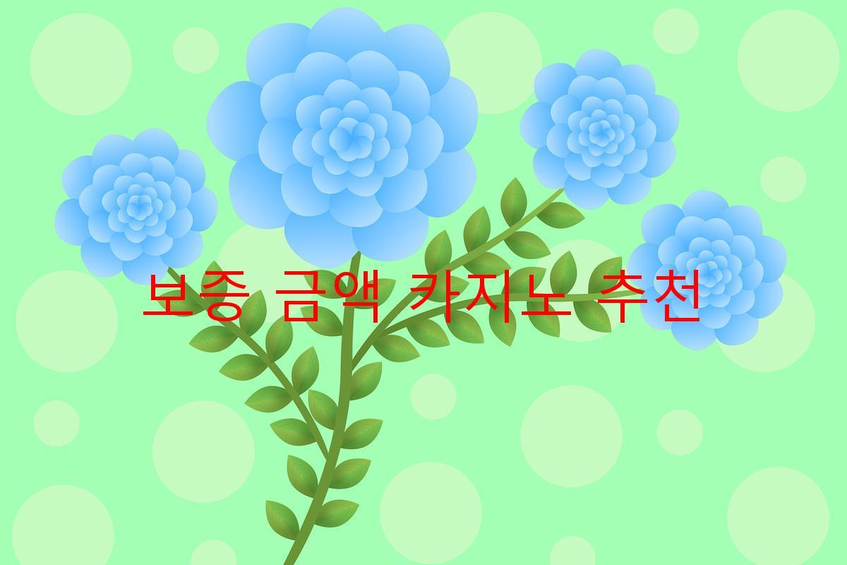 보증 금액 카지노 추천