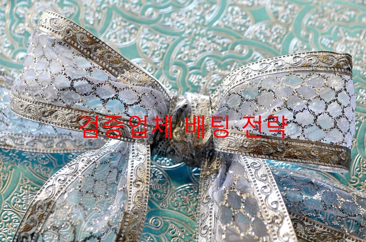 검증업체 배팅 전략