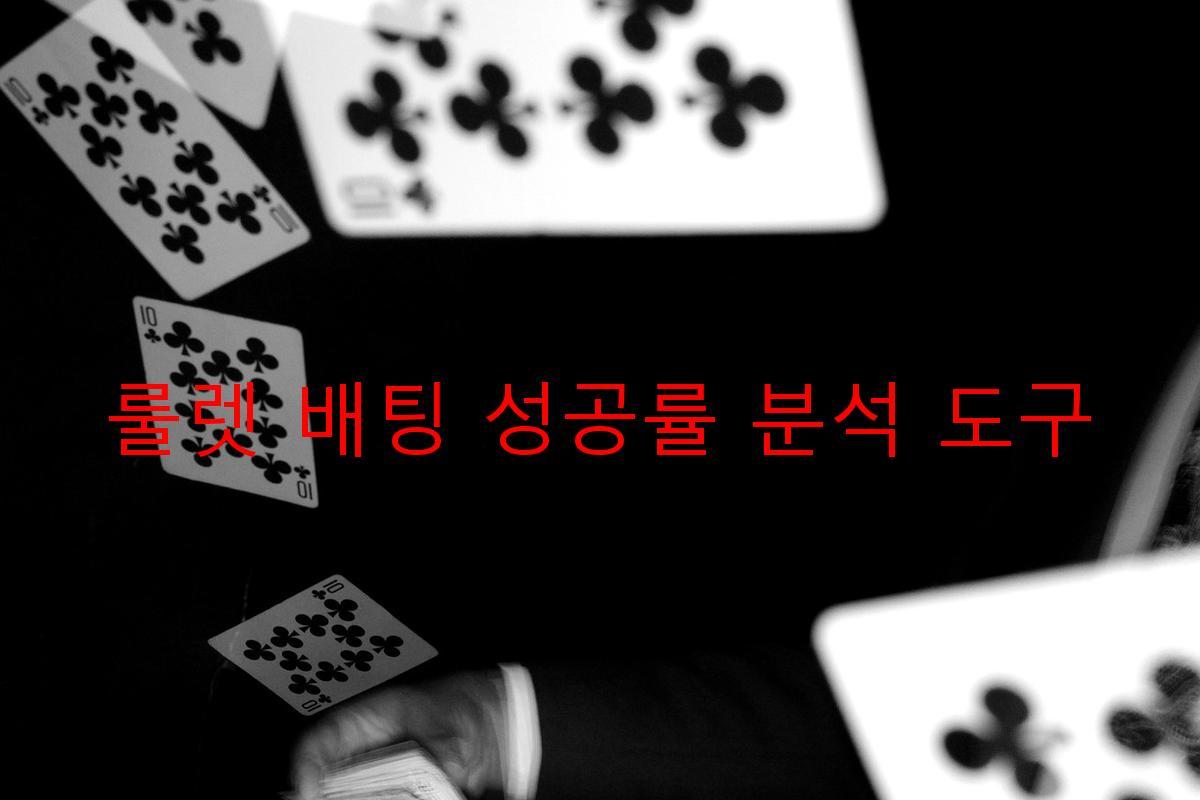 룰렛 배팅 성공률 분석 도구