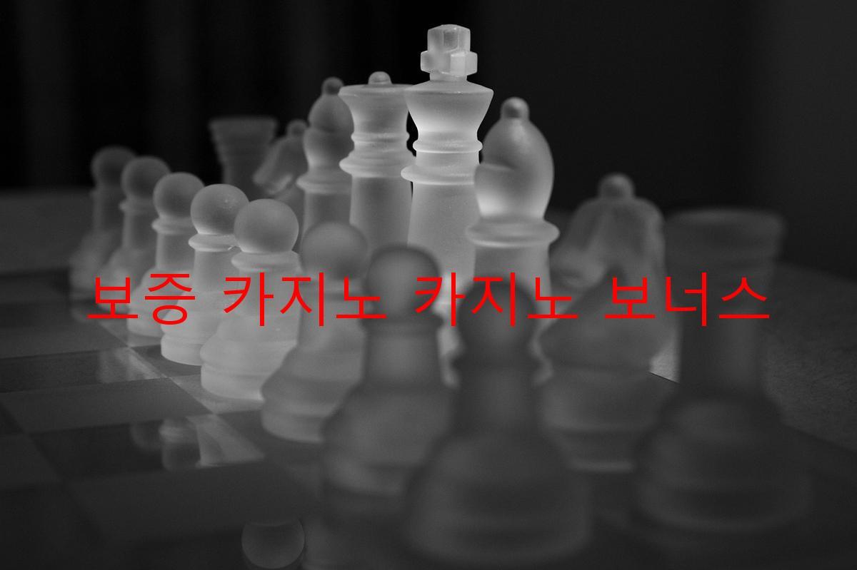 보증 카지노 카지노 보너스