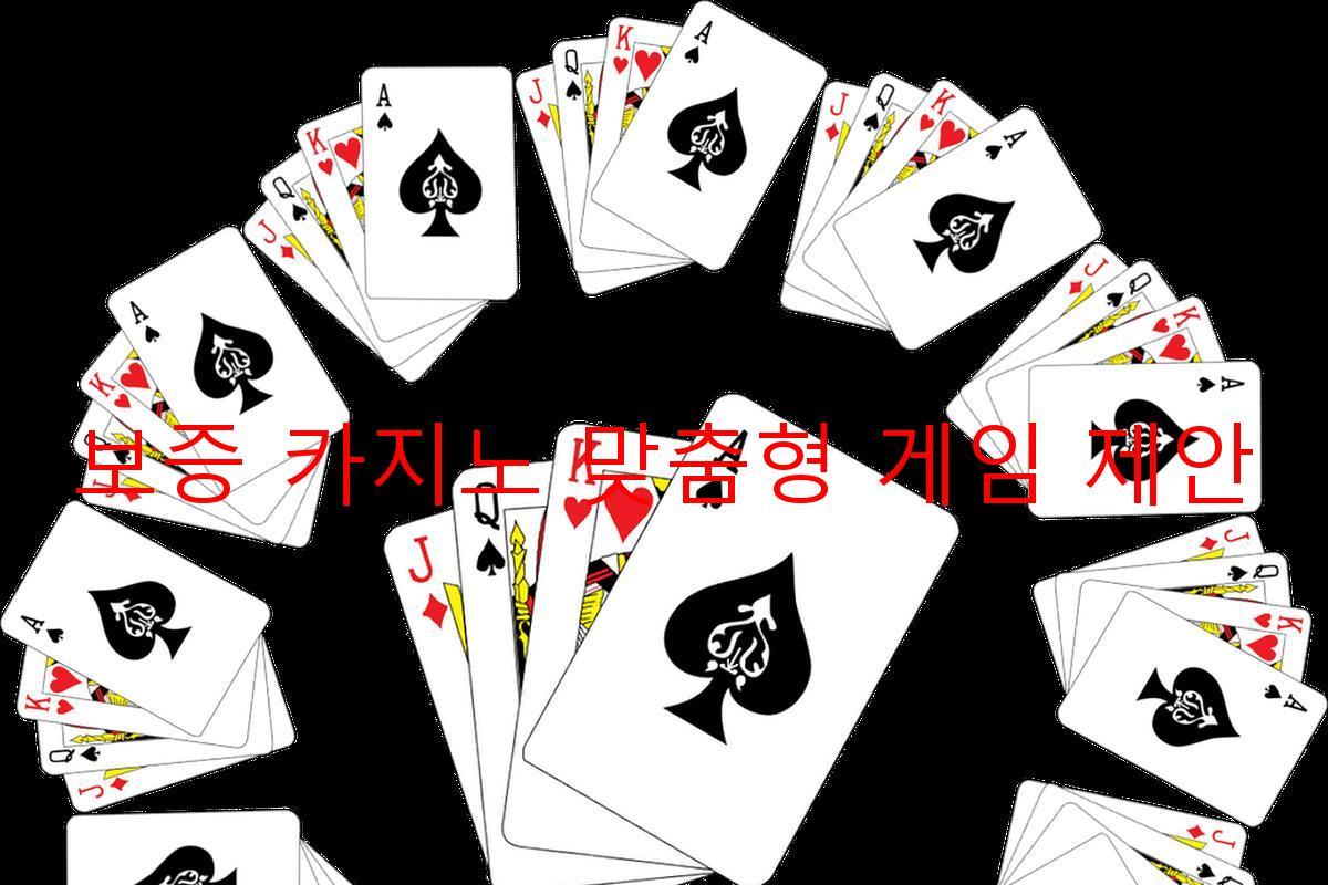 보증 카지노 맞춤형 게임 제안